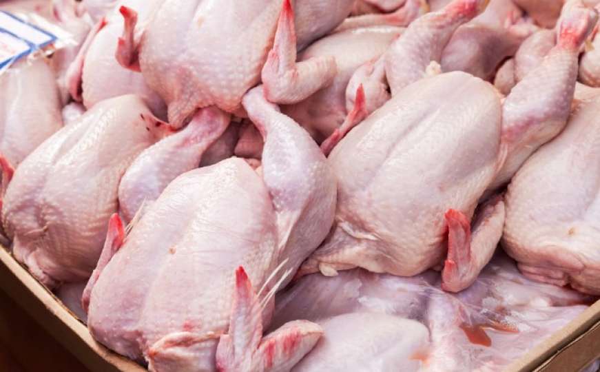 BiH na korak do izvoza mesa peradi u EU