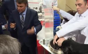 Ruski naučnici pred Vučićem potopili psa jazavičara u tečnost