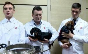 Skandal zbog eksperimenta s psom: Da li je zbog Vučića prekršen zakon