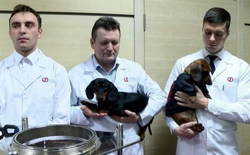 Skandal zbog eksperimenta s psom: Da li je zbog Vučića prekršen zakon