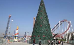 Musliman postavio jelku visoku 10 metara u znak solidarnosti s kršćanima 