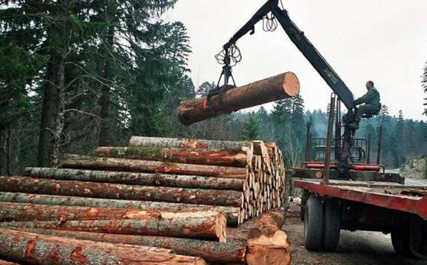 Potražnja za drvnim sortimentima u veća od planskih mogućnosti