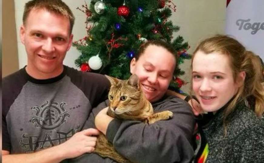 Božićno čudo: Mačka se vratila kući nakon tri godine lutanja