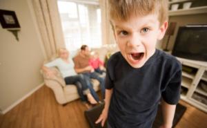 KS: Odsustvo autoriteta, konflikti roditelja i djece najčešći problemi u 2017.