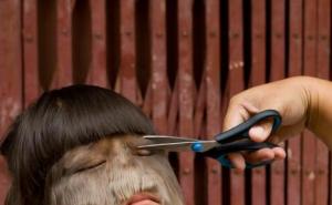 Djevojka vukodlak obrijala dlake i svijetu pokazala svoje lice 