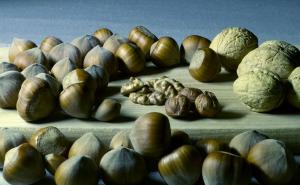 Na koje sve načine magnezij pomaže vašem tijelu