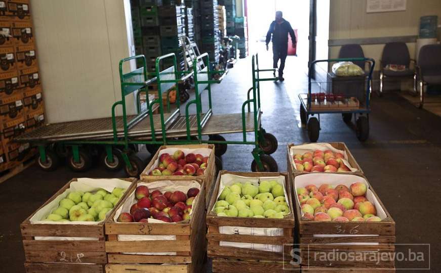 Sporni izvoz jabuka u Rusiju nije u nadležnosti fitosanitarne inspekcije RS-a