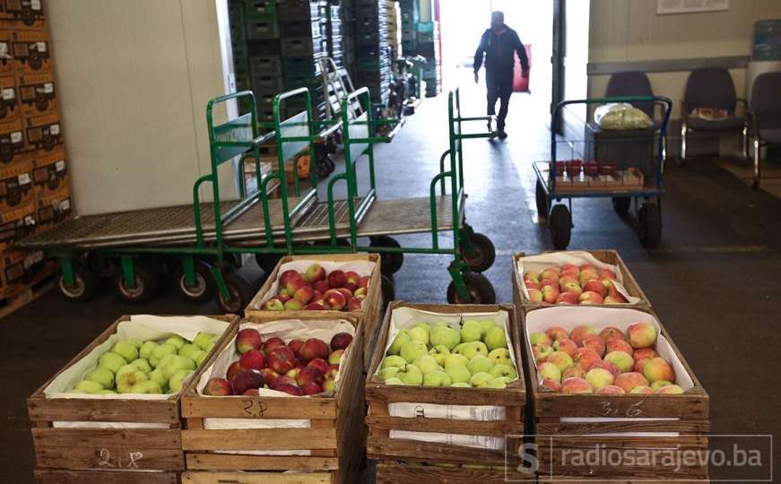 Izvoz jabuke iz BiH u Rusiju od danas je zabranjen