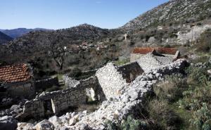 Fenomen prezimena: Od Sprčića i Penisovića do Šupčića i Džamahirije...