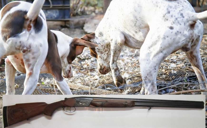 Tragedija: Pas puškom upucao i ubio 64-godišnjeg lovca