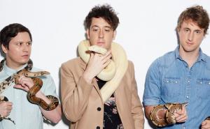 The Wombats - Cheetah Tongue