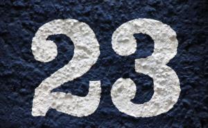 Nataša Gaon Grujić: Dvadeset i tri godine   