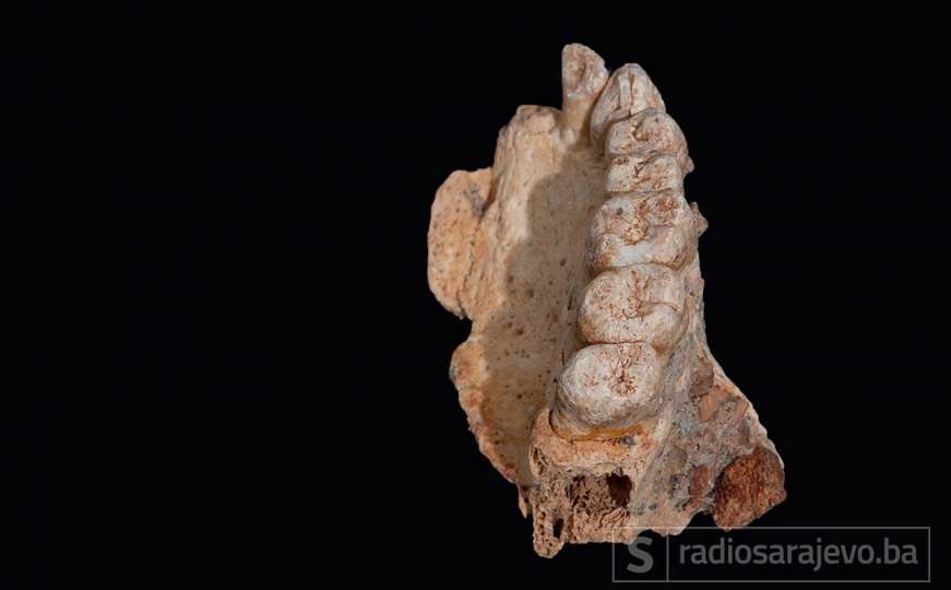 Ostaci stari 194.000 godina: Pronađeni najstariji fosili čovjeka van Afrike