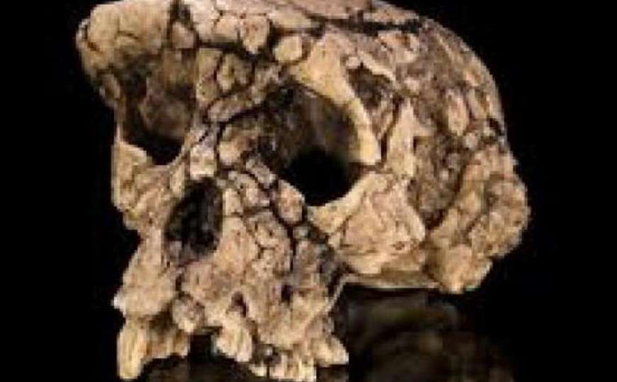 Otkriće koje bi moglo promijeniti svijet: Najstariji fosil pronađen u Izraelu