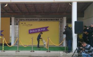Dogs Trust Škola za pse gostuje u Livnu 