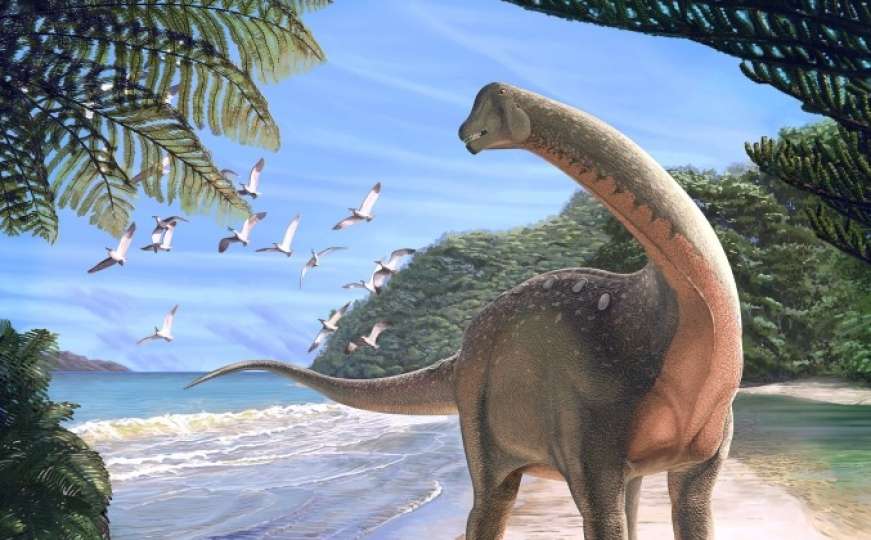 U Sahari pronađen fosil dinosaurusa koji je živio prije 80 miliona godina