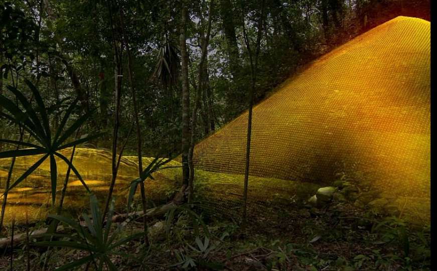 Duboko u prašumi otkriven drevni grad i piramida Maja