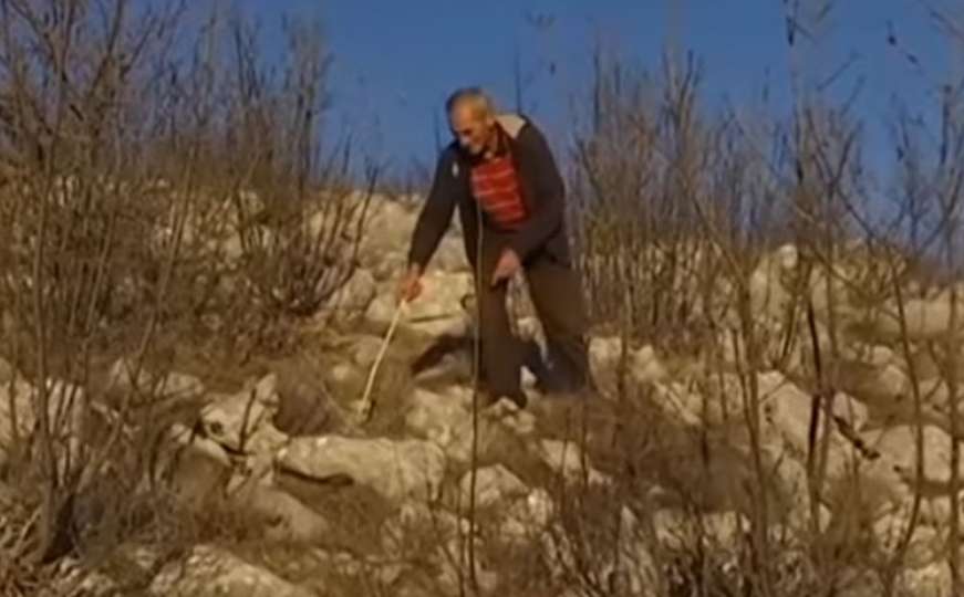Zmijolovac iz Hercegovine uhvatio hiljade zmija, a ujela ga samo jedna