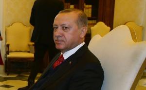 Erdogan: Imamo poginulih vojnika u "Maslinovoj grani", ali oni su naši šehidi