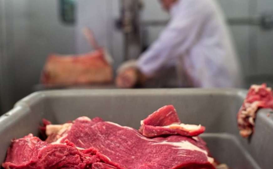 Zaraženi mesom divlje svinje: U Zvorniku devet oboljelih od trihineloze