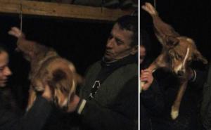 Monstrum iz Petnjice: Minas Adrović kažnjen s 300 eura zbog mučenja psa
