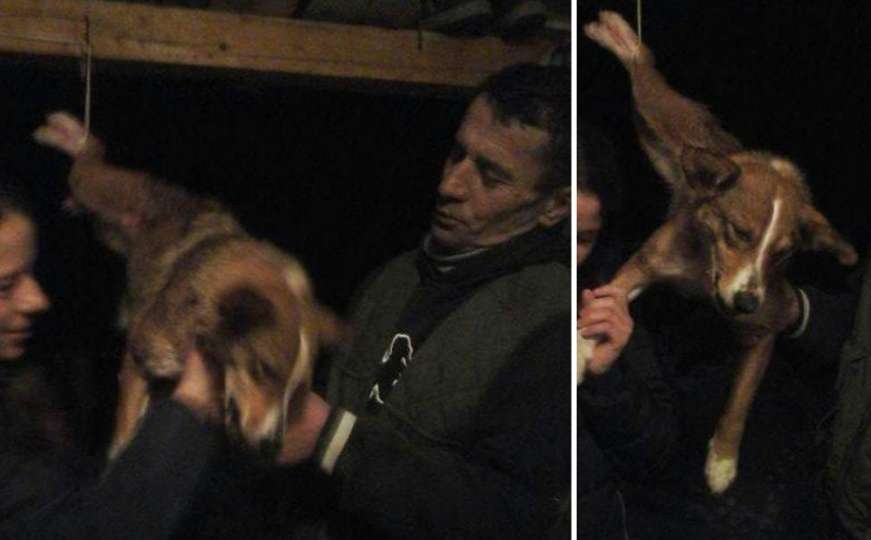 Monstrum iz Petnjice: Minas Adrović kažnjen s 300 eura zbog mučenja psa