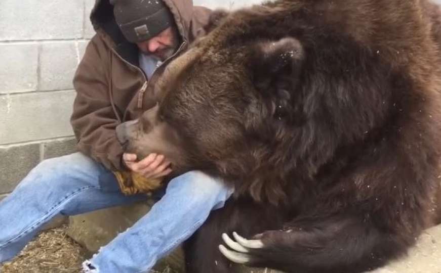 Prijateljski zagrljaj: Medvjed od 630 kilograma dobio nesvakidašnje maženje 