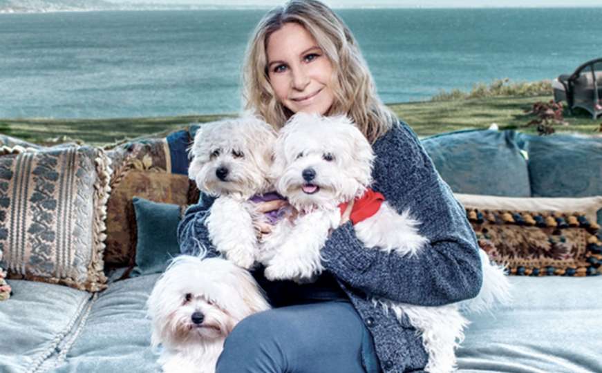 Barbra Streisand klonirala psa: Jedva čekam da odrastu