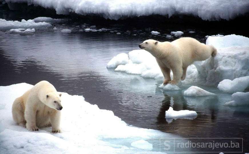 Zagrijavanje Arktika: Naučnici alarmirani porastom temperature