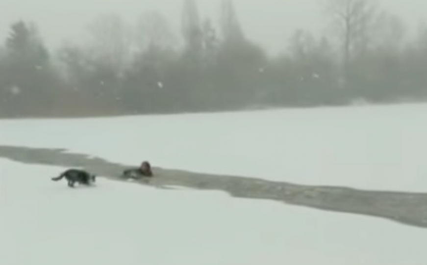 Rukama kidala komade leda: Žena skočila u vodu i spasila psa od sigurne smrti