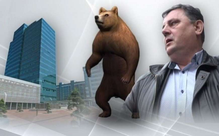 Bankar iz Čelinca tužio Vladu RS-a: Zbog mrkog medvjeda moraju mu isplatiti 3.000 KM