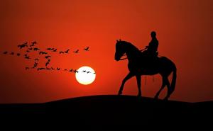 Jahanje može ublažiti simptome PTSP-a