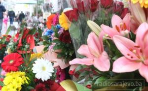 Besima Borić: U susret Danu žena