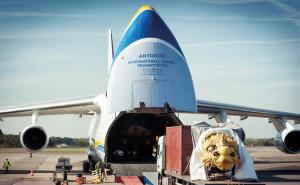 U padu ruskog aviona u Siriji poginulo 39 osoba