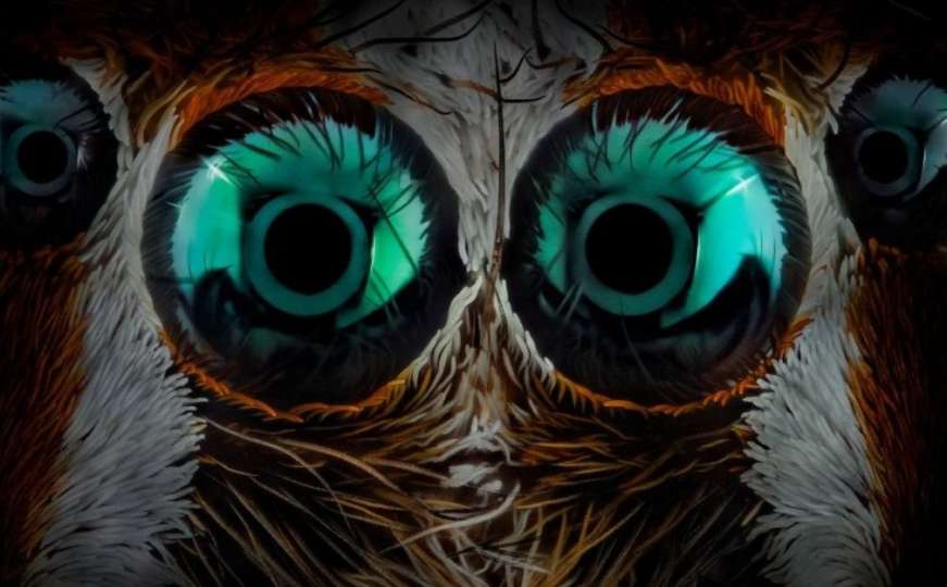 Pauci imaju neobične oči: Priroda je bolja od naučne fantastike