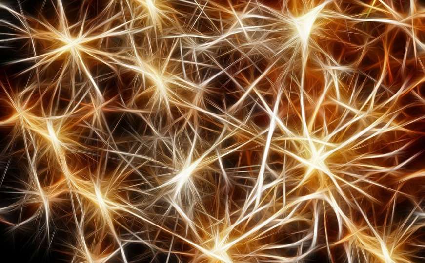 Nakon trinaeste mozak više ne proizvodi neurone odgovorne za pamćenje