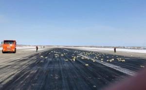 Plemenita kiša: S neba palo devet tona zlata