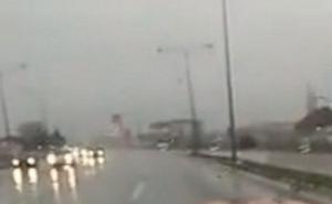 Bh. gradovi kao farme: Svinja prošetala ulicama Banje Luke