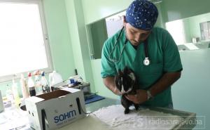 Veterinarski fakultet otvara prvu stomatološku ordinaciju za male kućne ljubimce