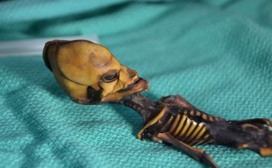 Riješena misterija vanzemaljskog kostura iz pustinje