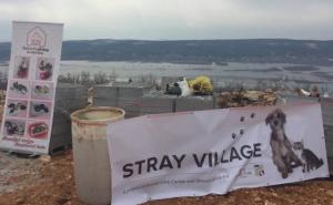 Počela gradnja skloništa za životinje "Stray Village" kod Mostara