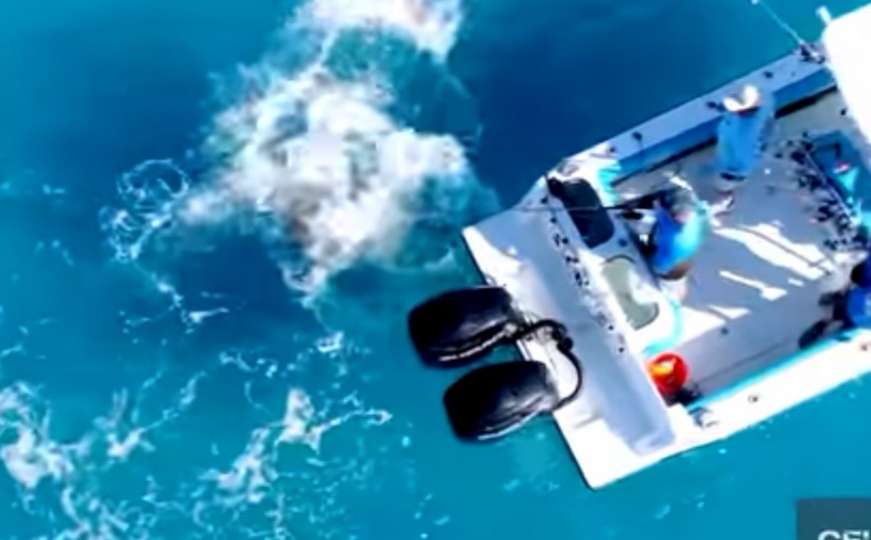 Florida: Dron snimio ajkulu kako napada ribarski brod