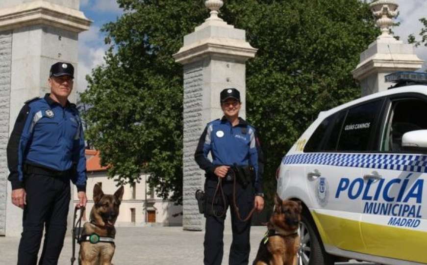 Španci policijskim psima uvode muzičku terapiju zbog stresa
