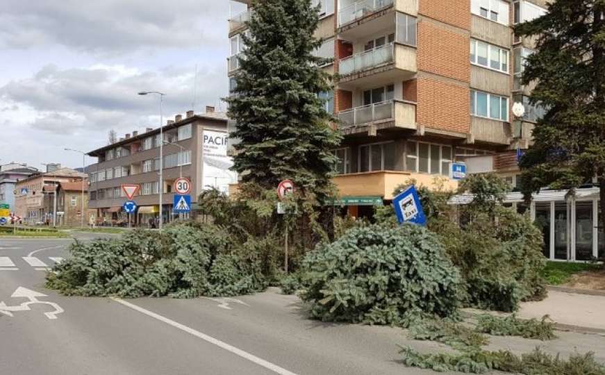 Olujno nevrijeme u Zenici: Vjetar lomio drveće, veća materijalna šteta 