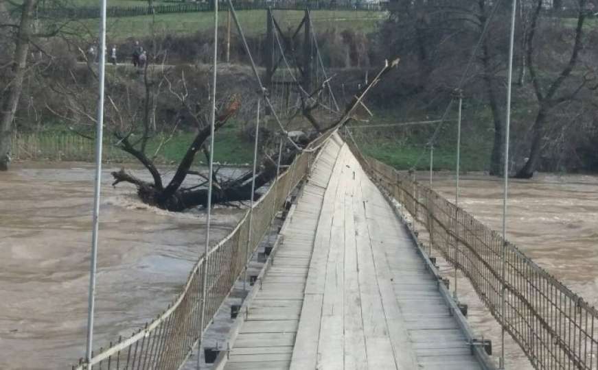 Plutajuće stablo prijeti da sruši most u Kaknju