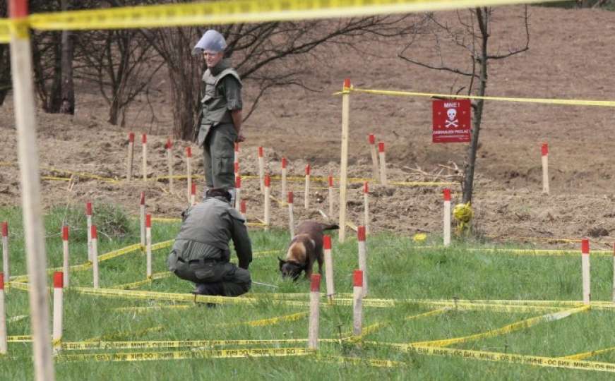 Tihe ubice iz zasjede: Od rata do danas 613 osoba poginulo zbog mina u BiH