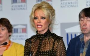 Izgled Pamele Anderson iz mladosti će vas ostaviti bez teksta