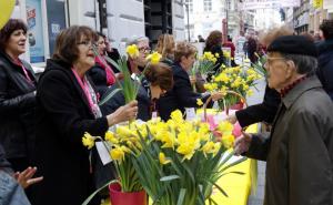 Dan narcisa: Svima omogućiti liječenje od limfedema a ne samo onome ko ima novca