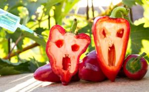 Materijal koji potiče ili sadrži GMO: Nema podataka o pokušaju uvoza u BiH