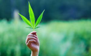 Marihuana može pomoći u liječenju ovisnosti o teškim drogama